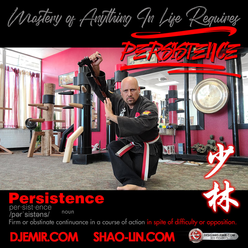 Master DJ Emir on Persistence Mastery of anything in life takes Persistence. A firm or obstinate continuance in a course of action in spite of difficulty or opposition. Shaolin Kung Fu Motivational Meme. Damo War Cane.